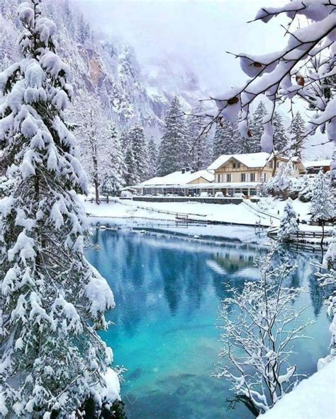 Pin By Mamta Sharma On Pins By You Winter Scenery Winter Pictures