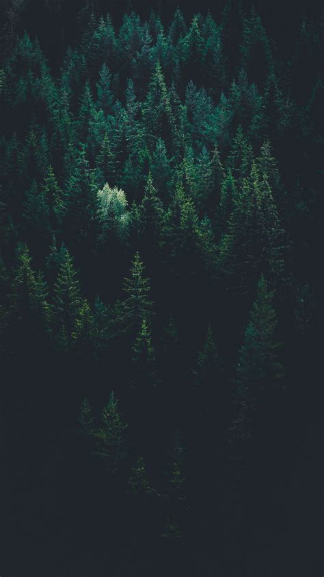 Midnight Green Wallpaper Iphone - 1512x2688 Wallpaper - teahub.io