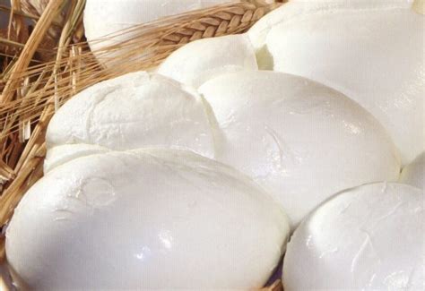 5 Caseifici Tra Aversa E Mondragone Dove Comprare La Mozzarella Di Bufala