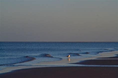 Holkham Gap - Photo "3843" :: British Beaches