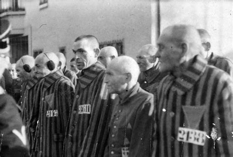 Photo Prisoners At Sachsenhausen Concentration Camp Germany Dec