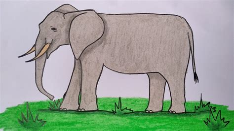 Detail Mewarnai Gambar Gajah Anak Tk Koleksi Nomer 21