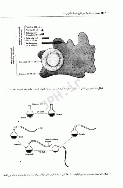 خرید کتاب فشرده میکروبیولوژی پزشکی دکتر رحیمی کتابفروشی آنلاین جامعه‌نگر