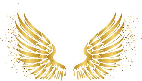 Angel Wings Vector Png