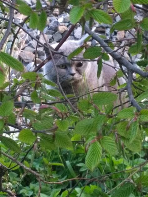 Smart glass displays will soon improve the local bus stop 21