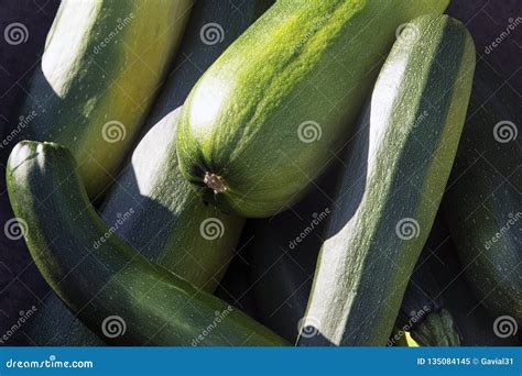 Fresh Crop Vegetable Marrow Stock Image - Image of farmer, vegetable ...