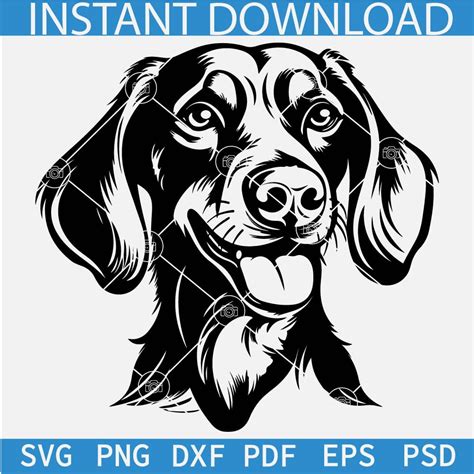 Dachshund Dog Breed Head Svg Dachshund Dog Head Silhouette Svg