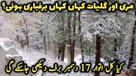 Murree Live Murree Snow Update Murree Nathia Gali Snowfall 2023