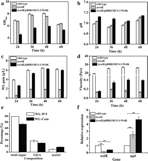 The Fermentation Results Of Wt Deletion Mutant Welk And