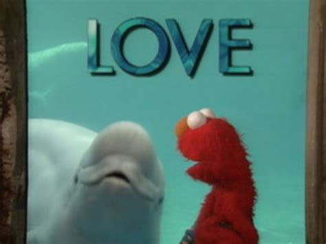 Elmo And Whale Love Instructional Video For Pre K Kindergarten