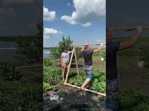 Подставка для огурцов. Из того что было. #shorts - YouTube