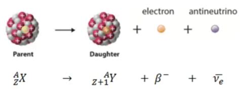 Atomic Nuclear And Particle Physics Topic Flashcards Quizlet