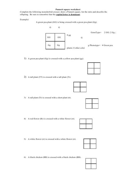 Simple Punnett Square Worksheets