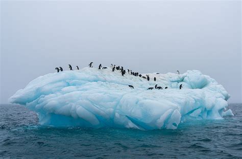 Abercrombie and Kent Antarctica Cruise: Learning Meets Luxury