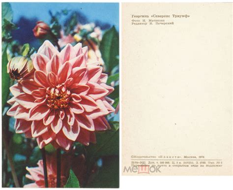 ГрОб-Хроники | О отшествии преподобнаго в пустыню от славы человеческия