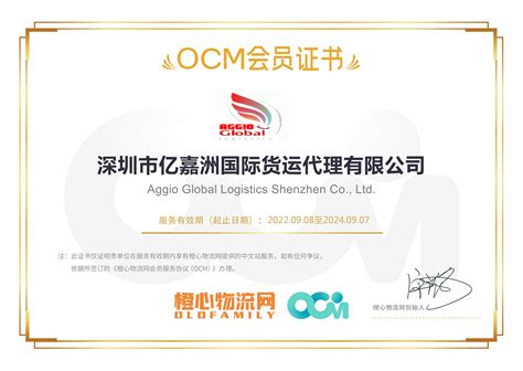 深圳市亿嘉洲国际货运代理有限公司