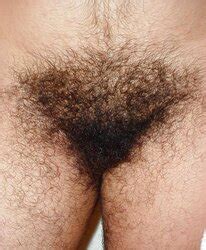 Mexican Hirsute Goddess Juan ZB Porn