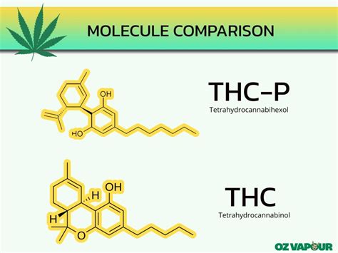 What Is THCP Benefits Risks Potency And Uses OZ Vapour