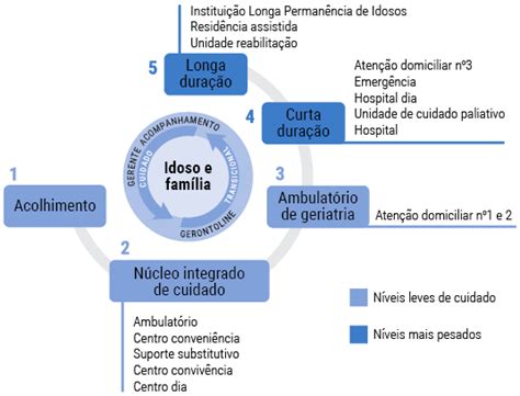 ParticipaÇÃo Social Do Idoso Na AtenÇÃo PrimÁria À SaÚde Atividades