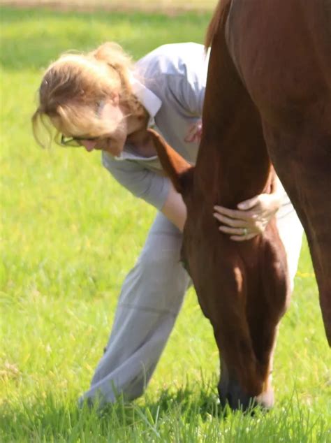 When Your Horse Has Colic: Essential Steps for Care and Recovery ...