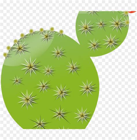 In The Desert Clipart Cactus - Cactus Clip Art PNG Transparent With Clear Background ID 217432 ...