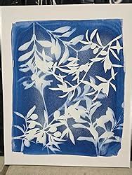 Amazon Jacquard Cyanotype Kit Cyanotype Chemicals Sensitizer Set