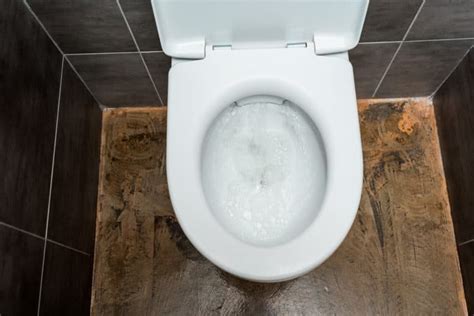 Why Is My Toilet Gurgling? (Easy Ways to Fix It) - Sensible Digs