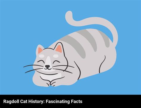 Discover The Fascinating History Of The Ragdoll Cat Breed - AtractivoPets