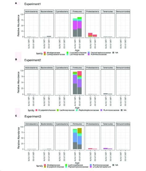 Microbiota Composition Analysis Using 16S RRNA Sequencing In Caecal