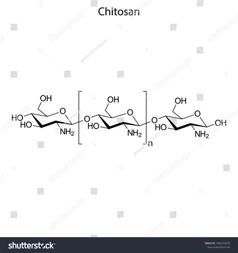 Skeletal Formula Chitosan Chemical Molecule Stock Vector (Royalty Free ...