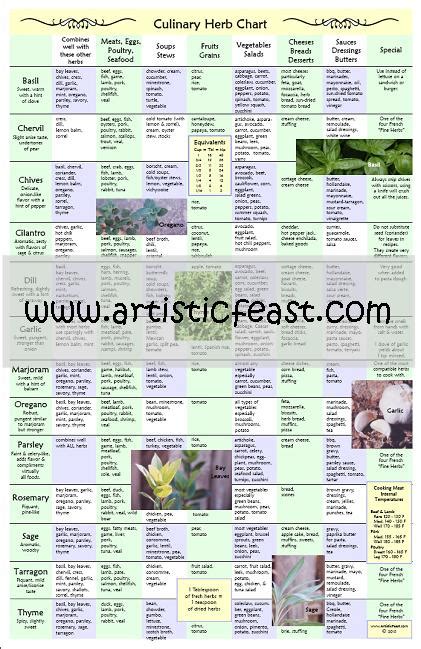 Culinary Herb Chart Artistic Feast