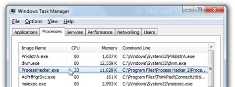 Processhackerexe Windows Process What Is It