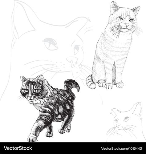 Cat outline Royalty Free Vector Image - VectorStock