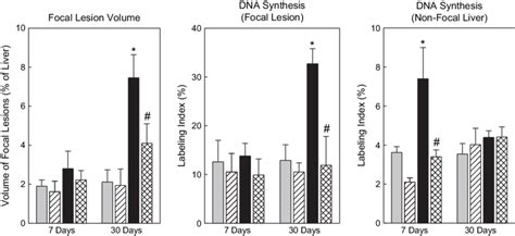 Effect Of Kupffer Cell Activation And Kupffer Cell Depletion On