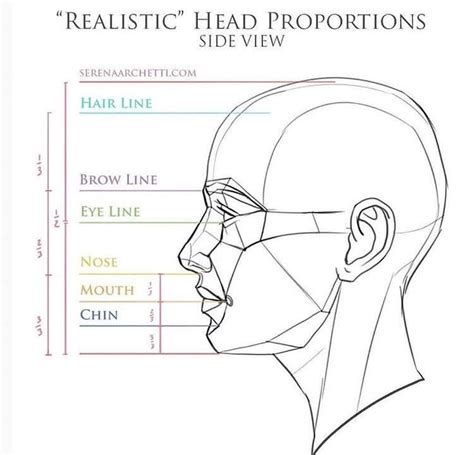 Pin By Srdjan Elor On Club In 2024 Head Proportions Portrait Drawing