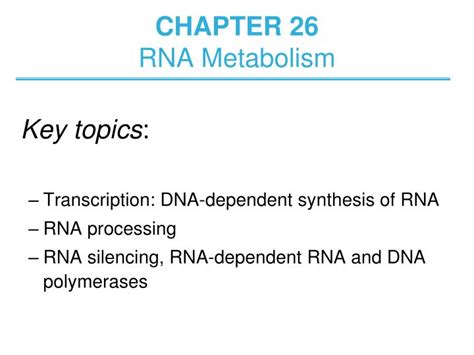 Ppt Chapter 26 Rna Metabolism Powerpoint Presentation Free Download