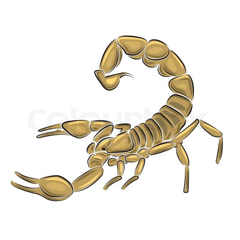 Scorpion Isoleret P Hvid Baggrund Vektor Illustration Stock Vektor