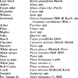 latin names  fernald   common plant names