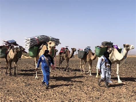 Morocco Sahara desert camp | Camel Trek Morocco Tour