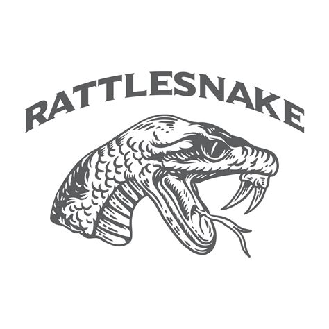 Rattlesnake vector art illustration 35057770 Vector Art at Vecteezy