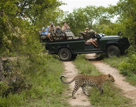 Bandipur National Park Safari Package Book Now Save