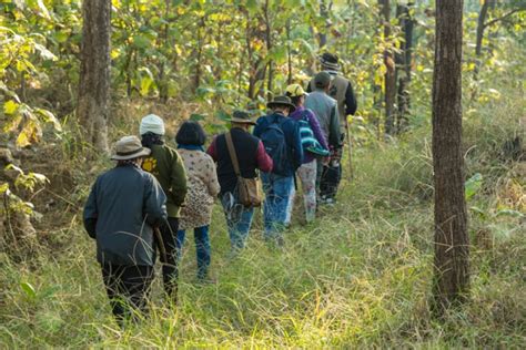 Satpura National Park , Pachmarhi | Timings , Safari, Entry Fee | Holidify