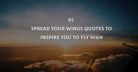 65 Spread Your Wings Quotes To Inspire You To Fly High