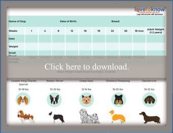 Printable Puppy Weight Charts | LoveToKnow Pets