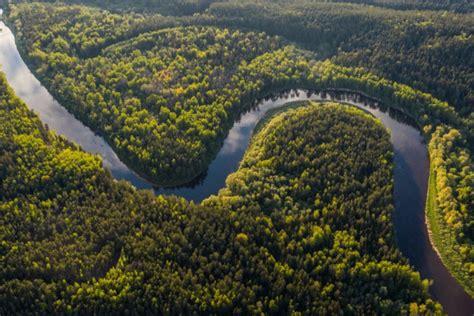 5 Fakta Sungai Amazon Yang Perlu Kamu Tahu Catat