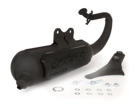 Exhaust Malossi Wild Lion Homolgated Peugeot Horizontal Ac Ludix