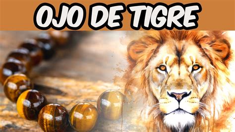 Descubre Los Sorprendentes Beneficios Del Ojo De Tigre Para Tu