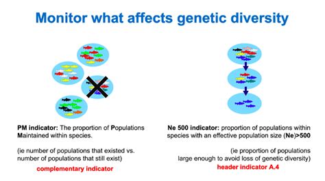 Genetic diversity and indicators | Genetic Diversity Indicators