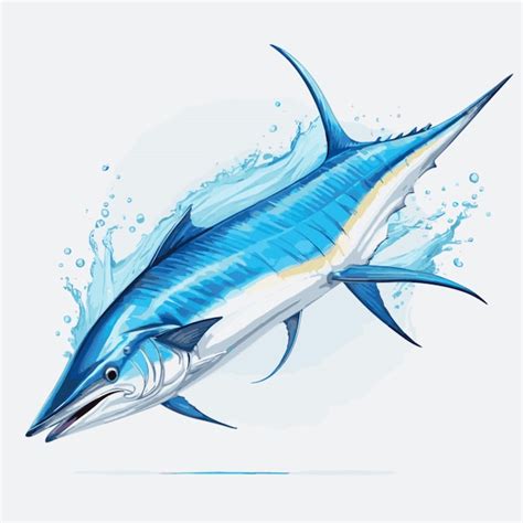 Premium Vector Blue Marlin Fish Vector On A White Background