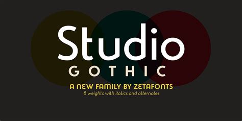 Studio Gothic Extra Light Font XFonts Pro